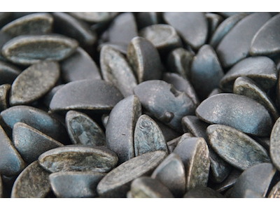 Lakridsbåde BIB L/V