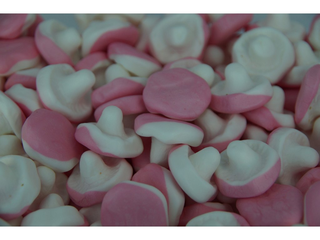 Rød/Hvid Svampe BIB L/V