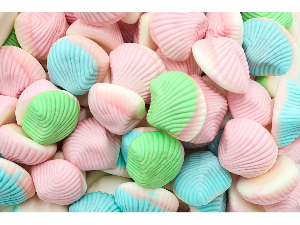 **Muslingeskaller L/V